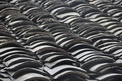 《怪物猎人：荒野》将响应玩家呼声 历战王挑战改为常设任务