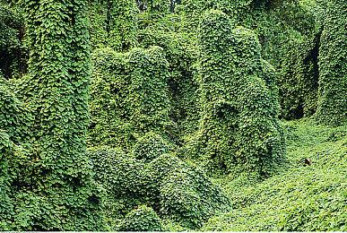 人类遗孤探索未来 科幻新作《Cryogenesis》年底发售